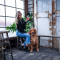 Dog-Friendly Restaurants in Raleigh, NC: A Guide for Pet Owners